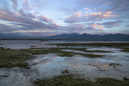 巴西查尔西亚图片-巴西查尔西亚素材-巴西查尔西亚插画-摄图新视界