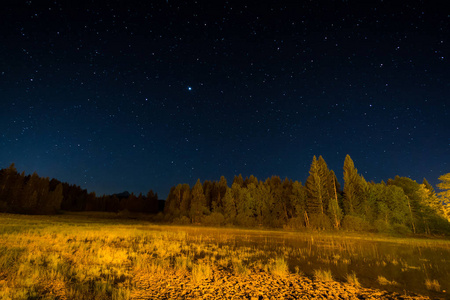 沼地和湖在星光下的夜晚