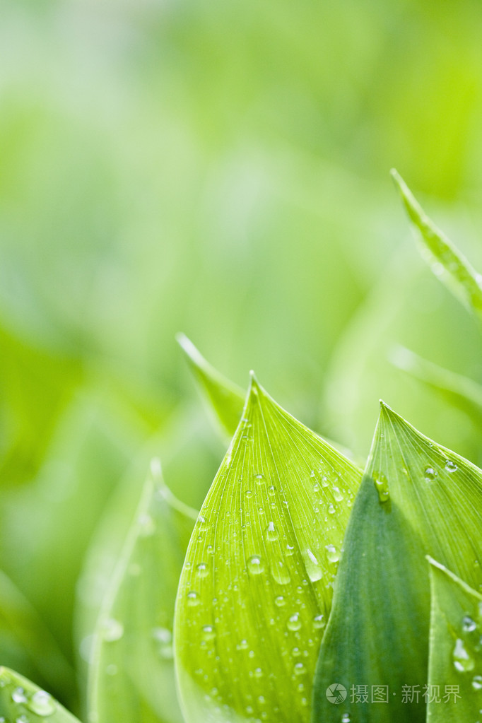 682_1023竖版 竖屏