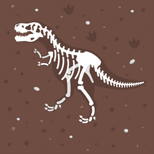 在地面的恐龙骨架的插图图片