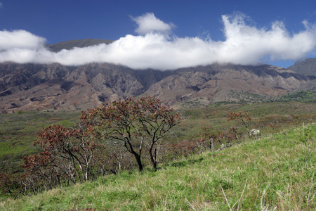 高山美景