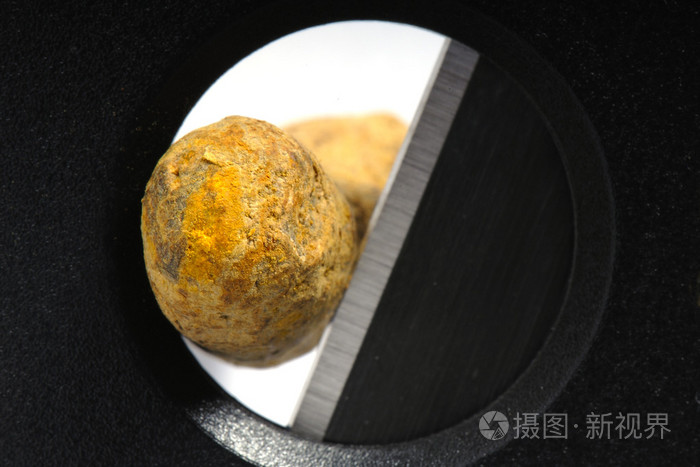 藏红花根