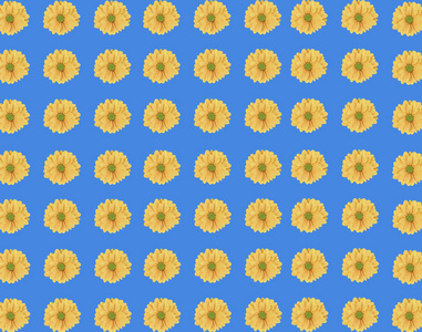 无缝模式的蓝色背景上的鲜黄色雏菊花