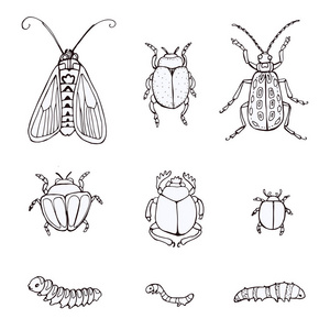 设置手绘涂鸦昆虫。草绘的昆虫