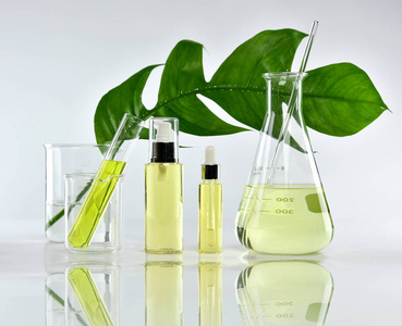 天然护肤产品，天然有机植物萃取和科学的玻璃器皿 空白标签化妆品容器为品牌模拟