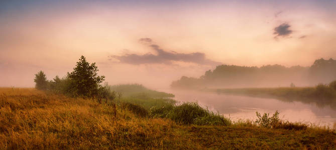 清晨的薄雾笼罩的河面。全景图。夏日温暖的早晨