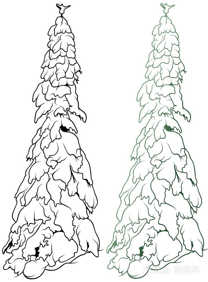 冬季针叶树插画-正版商用图片015nba-摄图新视界