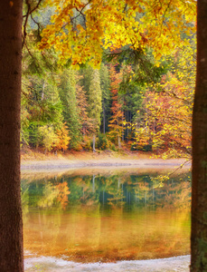 森林的多彩秋天的树木倒映在湖图片