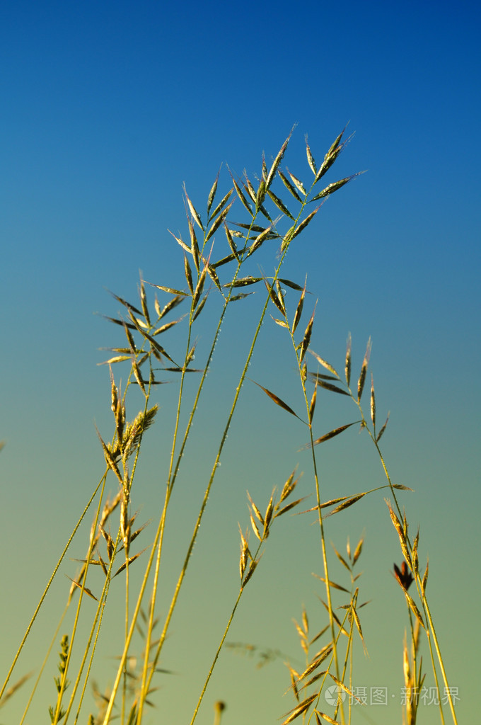 680_1024竖版 竖屏