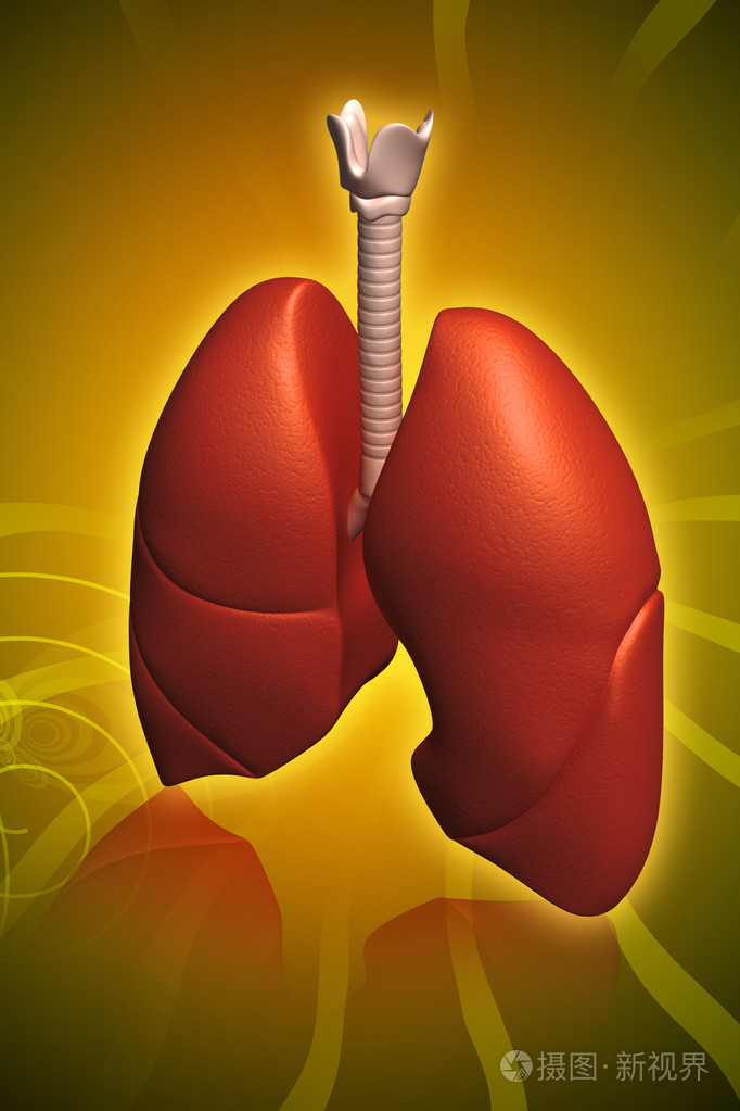 人肺