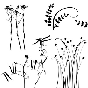 设计师植物载体系列