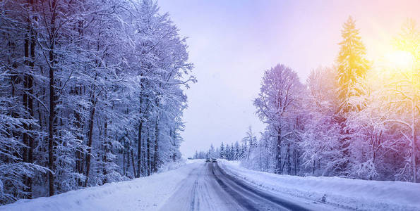 圣诞冬季景观 云杉和松树树覆盖在雪里