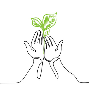 手捧生活绿色的植物幼苗图片