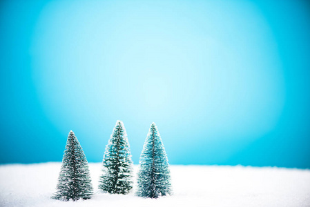 在白雪皑皑的丛林中的迷你圣诞树