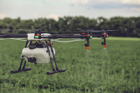 农业的特写视图无人驾驶飞机喷洒水肥在绿色的田野上