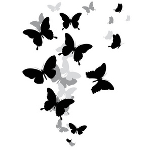 黑蝴蝶的翅膀图片-黑蝴蝶的翅膀素材-黑蝴蝶的翅膀插画-摄图新视界