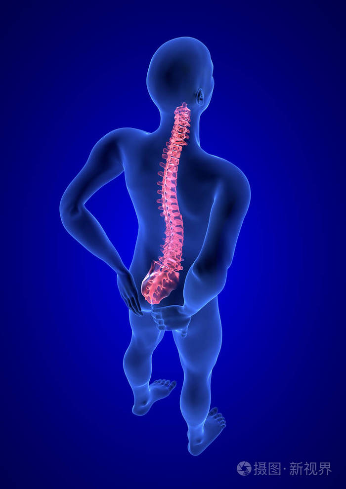 蓝色的解剖人体在蓝色背景上的 3d 渲染照片-正版商用图片0176ws-摄图