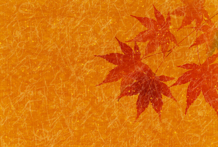 秋天的树叶枫树叶背景图片