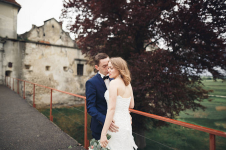 美丽浪漫新婚夫妇的新婚夫妇拥抱在旧城堡附近