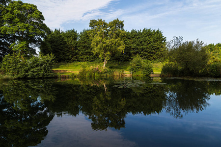 在沃顿厄尼斯 Neaton