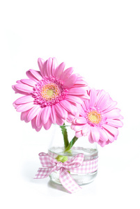 粉红色的鞣制花