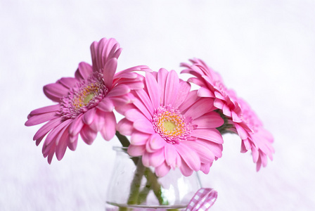 粉红色的鞣制花