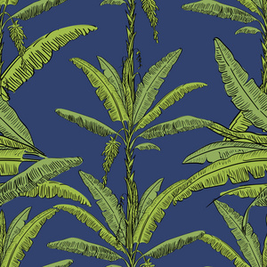 矢量绘制的香蕉棕榈树无缝模式在素描样式中的蓝色背景上的叶子。充满异国情调的集合