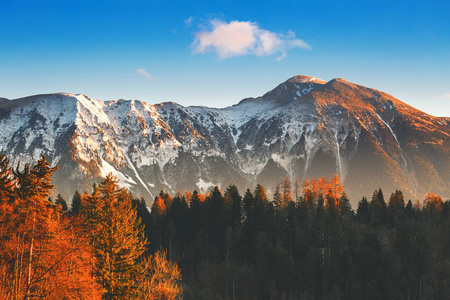 白雪皑皑的阿尔卑斯山和秋天的树林上日出