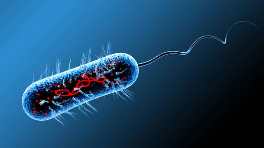 细菌病毒 3d 渲染照片