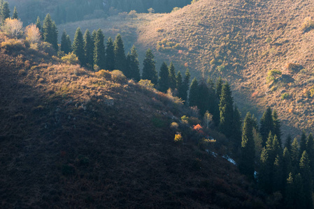 秋天的照片后降雪，山伊塞克湖