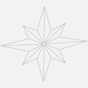 巧克力滴, 香草豆荚, 肉桂, 八角星和红糖明星致敬花八瓣儿抽象的