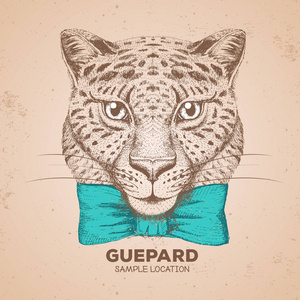 时髦动物 guepard。Guepard 手绘图枪口