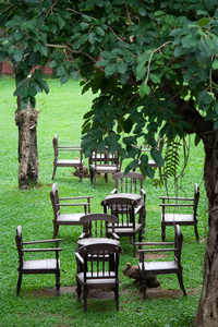花园和椅子