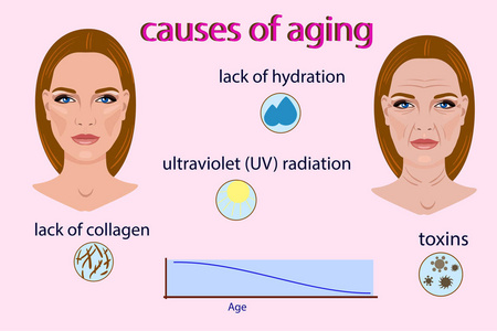 老化，矢量图和两副面孔和浅色背景上孤立的小图片的原因