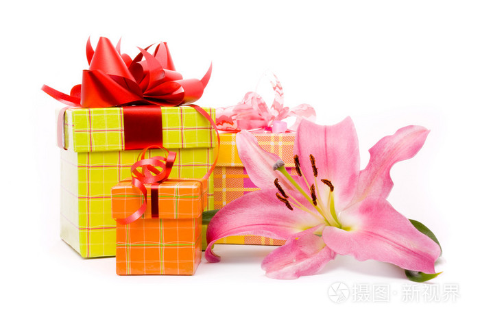 粉色百合和白色背景上的礼品盒