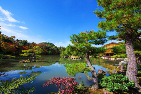 在秋天，京都的金阁 金阁寺