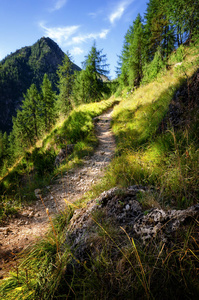 在黎明时在法国阿尔卑斯山的山间小道