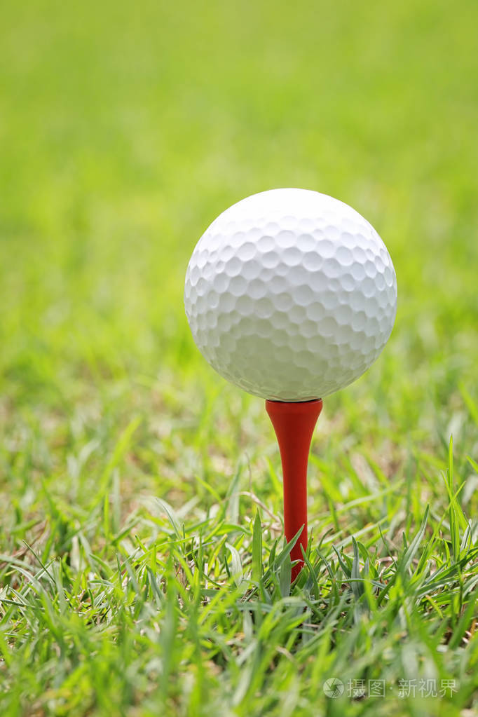 高尔夫球钉高尔夫球球