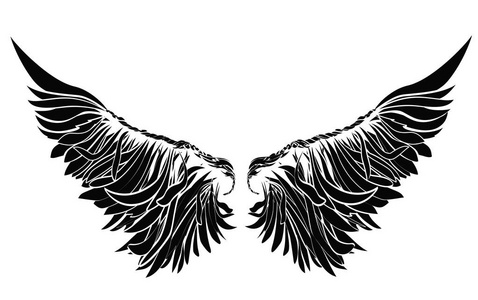 翅膀。白色背景上的矢量图。黑色和白色的风格