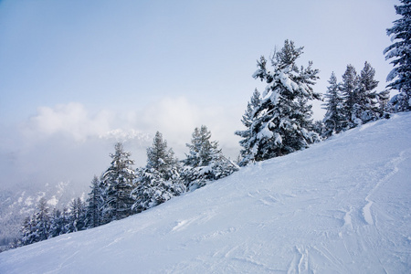 滑雪坡和冬山全景