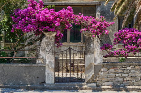 老房子与鲜花