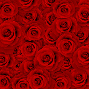 红玫瑰，英国兰开斯特家族族徽