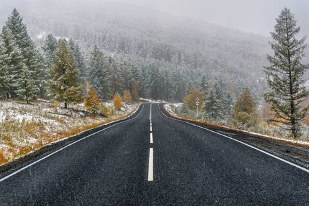 道路沥青降雪森林落