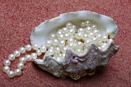 在海滩上的琥珀色一颗珍珠珠的奇异贝壳躺在红沙上照片
