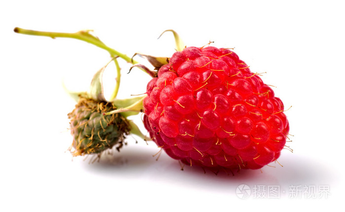悬钩子树raspberry的名词复数木莓树将舌头伸出并吹气