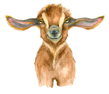 水彩山羊头照片