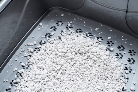 形容小猫的脚图片