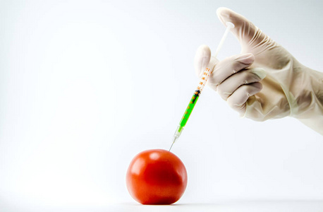 这一过程的早期发育成熟番茄引入一种特殊药物