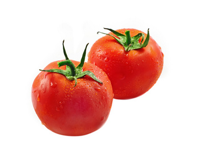 番茄，西红柿 tomato的名词复数 