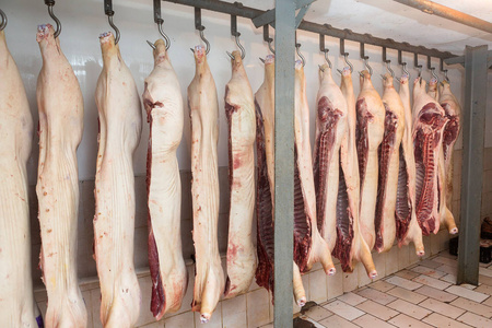 杀猪,猪只,火腿猪肉的挂猪只的照片